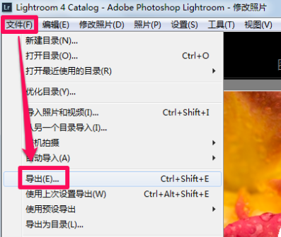 adobe lightroomͼ18