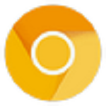 Chrome Canary(ȸ˿ȸ) v88.0.4285.0 ʽ