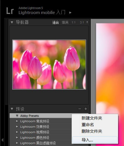 adobe lightroomͼ14