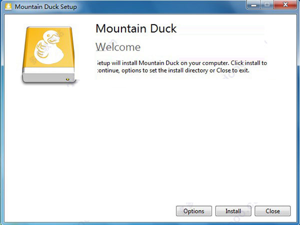 Mountain Duck