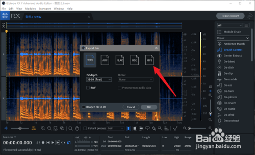 iZotope RXMP34