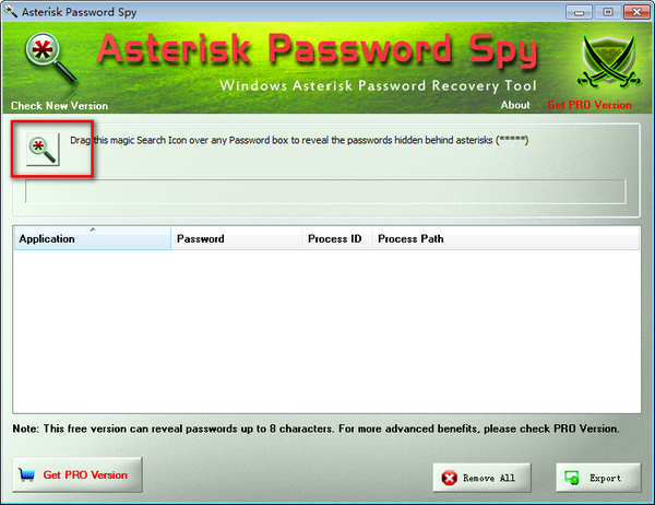 Asterisk Password Spyͼ1