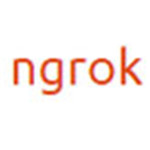 ngrok͸