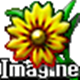 imagineͼv1.1.0