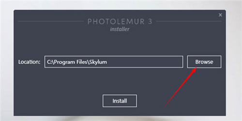 photolemur3İƽ̳1