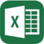 MicrosoftExcel⼤v2021