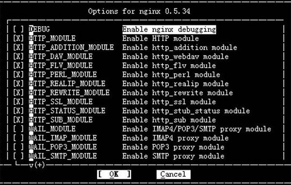 nginx°ɫ