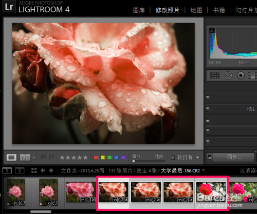 lightroom 2021ƽ4