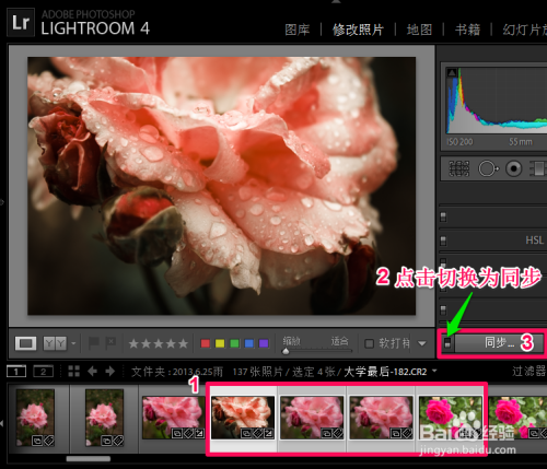 lightroom 2021ƽ2