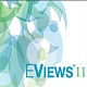 Eviews11ٶԴظкƽ