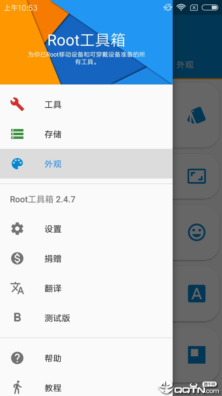 Root