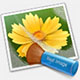 neatimagepro˾ƽv8.5.1