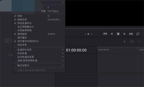 DaVinci Resolve 17ʹü10