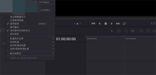 DaVinci Resolve 17ʹü11