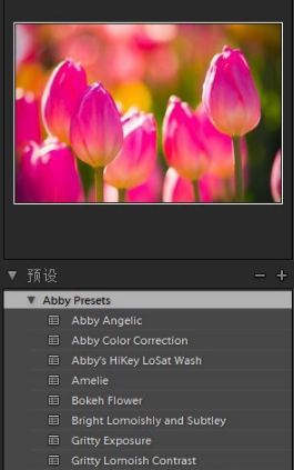 Adobe Photoshop CC2021ʹ4