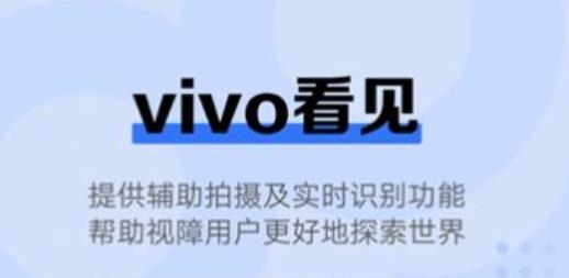 vivo2