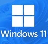 Win11Ȩ V2023.3